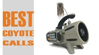 What's The Best Coyote Calls For Pet Hunting? (Top 5 Picks)