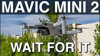 DJI Mavic Mini 2 - Should you buy it?