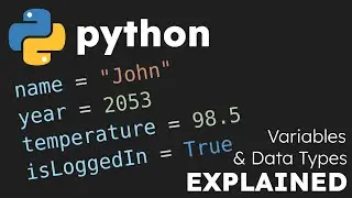 The 4 Variables & Data Types to Know as a Beginner - Strings, Integers, Floats, and Booleans