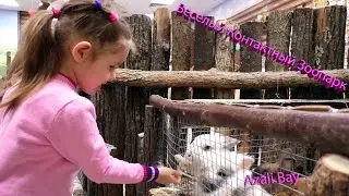 VLOG Контактный зоопарк. На Папу НАПАЛА ВОРОНА!!! \ Petting zoo. The Pope ATTACKED CROW