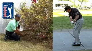 Tiger Woods and Phil Mickelson's great escapes