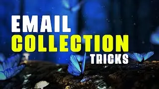 Targeted Country Email Collection using a Search Engine | Email Marketing