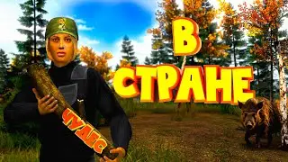 АЛИСА в СТРАНЕ ЧУДЕС. DayZ [STALKER RP] (feat. @kediys  )