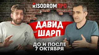 Причины провалов армии | Разоружение юга | Что делать с победой- аналитик Давид Шарп | RISODROM PRO