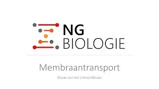 Membraantransport - bouw van het celmembraan - HAVO/VWO Biologie