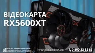 Відеокарта Sapphire RX 5600 XT 6G GDDR6 PULSE. Огляд та характеристики