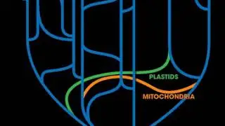 Horizontal gene transfer | Wikipedia audio article