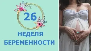 26 Неделя Беременности. Развитие плода и ощущения мамы