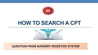 HOW TO SEARCH A CPT  65