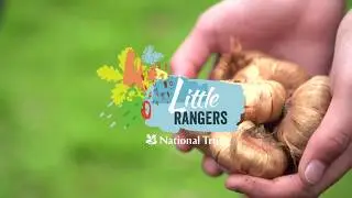 AV Browne Work | National Trust | Little Rangers |  Christian and Ruby plant bulbs and help clean up