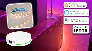 Zemismart RGBCW Light Strip & Zigbee Hub!