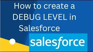 How to create a Debug  Level for logs in Salesforce