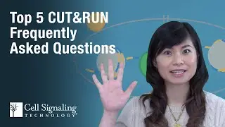 Top 5 CUT&RUN Frequently Asked Questions | CST TECH TIPS