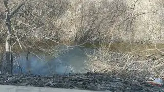 мощная самодельная петарда🔥 глушим рыбу