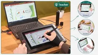 XP-PEN Digital Writing Tablets for Online Tutoring & E-Learning in Microsoft Office/Adobe PDF/Xplit