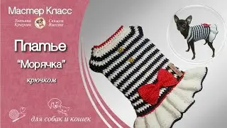 Платье для собаки крючком,  Dress for dog, DIY