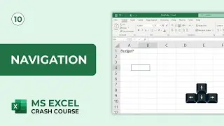 Data Entry | Spreadsheet Navigation | MS Excel Crash Course #10