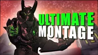 Paladins ULTIMATE Montage