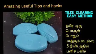 இவ்வளவு சிம்பிள் டிப்ஸ் தெரியாம போச்சே | 6 AMAZING USEFUL TIPS  | EASY BATHROOM CLEANING TIPS