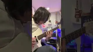 Every Baritone Guitar Player in 40 Seconds