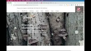 Wix Strip Video Not Playing on Mac - Fixed!