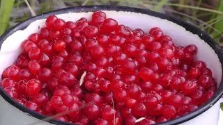 Собирательство. Часть 1