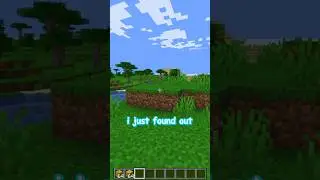 minecraft’s strangest secret?