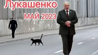 Таро расклад. лукашенко май 2023