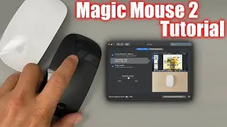 How To Use The Apple Magic Mouse 2 Tips, Features, Settings & Gestures