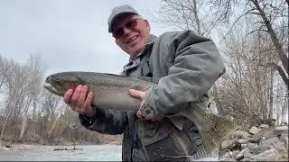 MONSTER STEELHEAD TROUT caught in Boise River [Idaho] 2023