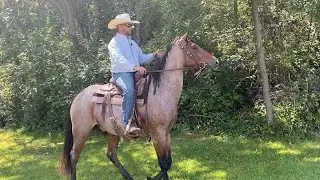 His First Trail Ride and We're Doing It ALONE!