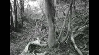 François Henri Burdet’s fatal crash 1977 (aftermath)