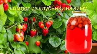 КОМПОТ из КЛУБНИКИ 🍓🍓🍓 на зиму. ПРОСТОЙ и КЛАССИЧЕСКИЙ рецепт. 🍓🍓🍓КЛУБНИЧНЫЙ КОМПОТ.