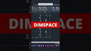 DIMSPACE 