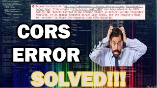 CORS Error: What it is and How to Solve it