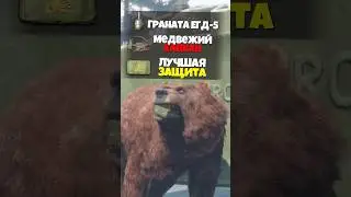 КАК ЗАЩИТИТЬСЯ ОТ МЕДВЕДЯ в DayZ 