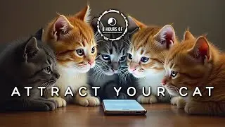 Make Cats Go Crazy for You with Simple Cat Sounds | Cat Sounds to Attract Cats