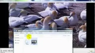How to capture images from video in VLC