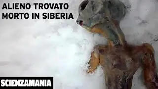 L'uomo trova un corpo alieno morto in Siberia | Alien Encounters That Will Blow Your Mind