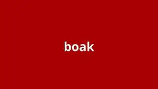 what is the meaning of boak