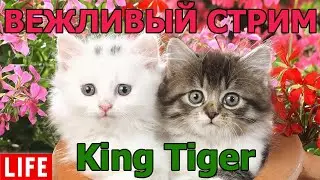 ВЕЖЛИВО на King Tiger (захваченный) WOT│СТРИМ ВОТ│Кинг Тигр Оборудование World of Tanks