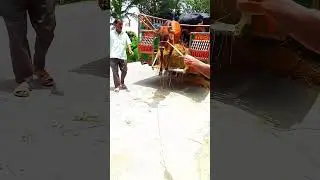 সিরাজগঞ্জ তালগাছি গরুর হাট tiktok