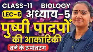 L-5, तने के रूपांतरण, अध्याय-5, पुष्पी पादपों की आकारिकी | Class-11th Biology कक्षा-11 जीवविज्ञान