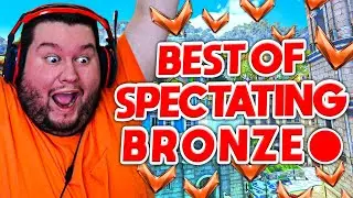 Flats Best Of Spectating Bronze Overwatch #1