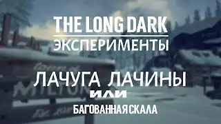 THE LONG DARK. ЛАЧУГА ЛАЧИНЫ ИЛИ БАГОВАННАЯ СКАЛА 😊😊😊