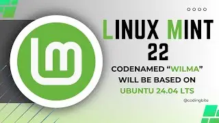 Linux Mint 22 Codenamed “Wilma”, Will Be Based on Ubuntu 24.04 LTS