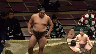 Sumo wrestler slams "bullying cover-up", demands stablemate is fired