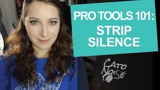 Editing Podcasts Using Strip Silence: Audio Engineering 101