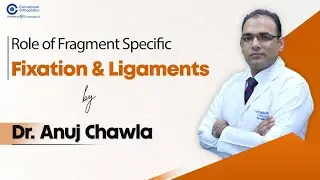 Role of Fragment Specific Fixation & Ligaments | Dr. Anuj Chawla | Conceptual Orthopedics