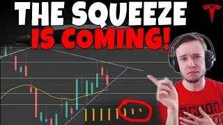 TESLA Stock - The Squeeze Is Coming